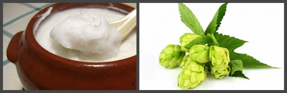 Hops and lard for the preparation of medicated ointment for osteochondrosis