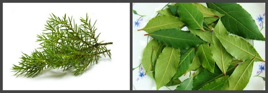 Juniper and laurel leaves as part of the oil will help relieve pain in osteochondrosis